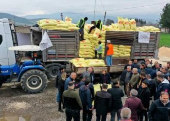 Gaziantep Büyükşehir Belediyesinden arpa ve buğday üreticilerine gübre desteği