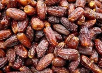 Hurma fiyatı 290 liraya kadar çıktı