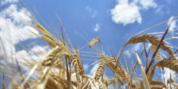 Tarımsal girdi fiyatları yıllık yüzde 95,99 arttı