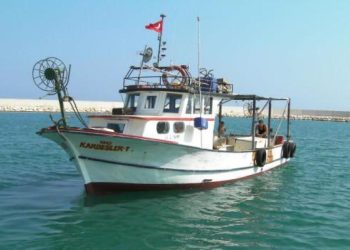 TBMM, balıkçıların sorunlarını araştıracak