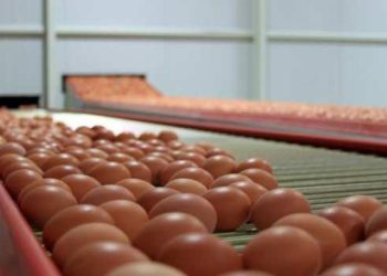 Yumurta üreticilerinden ‘yüksek fiyat’ açıklaması