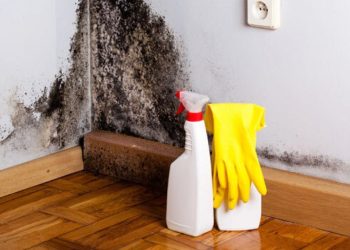 Duvarlardaki küf nasıl temizlenir?