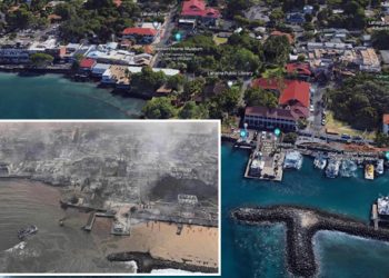 Hawaii’deki orman yangınları: Ölü sayısı 99’a yükseldi