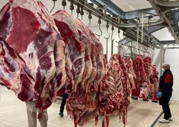 81 ilde gıda denetimleri Türkiye’nin 81 ilinde gıda denetimleri eş zamanlı başladı