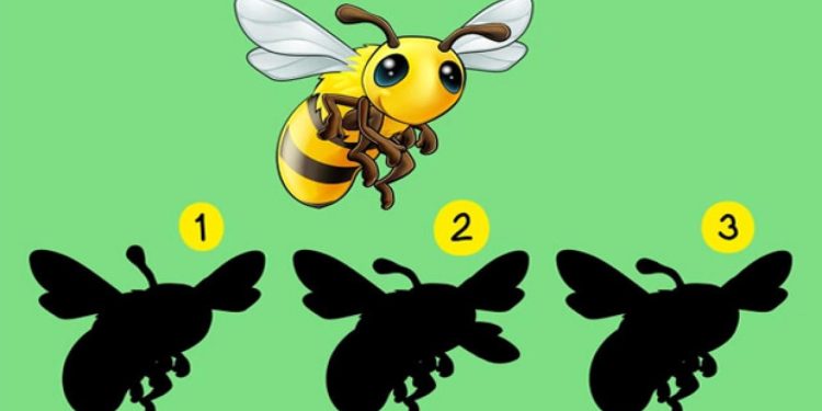 Yüksek dikkat gerektiren zekâ testi: Resimdeki arının doğru gölgesini 24 saniye içerisinde bulabilir misiniz?